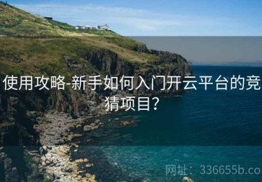 使用攻略-新手如何入门开云平台的竞猜项目？