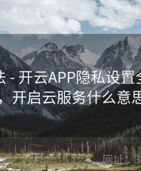 互动玩法 - 开云APP隐私设置全面详解，开启云服务什么意思