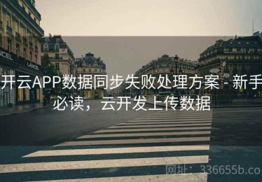 开云APP数据同步失败处理方案 - 新手必读，云开发上传数据