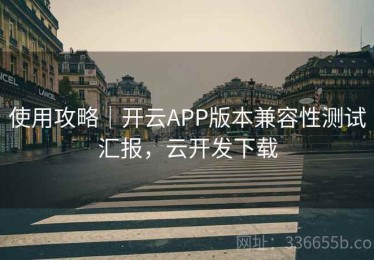 使用攻略｜开云APP版本兼容性测试汇报，云开发下载