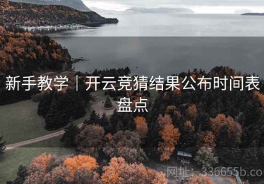 新手教学｜开云竞猜结果公布时间表盘点