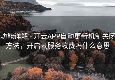 功能详解 - 开云APP自动更新机制关闭方法，开启云服务收费吗什么意思